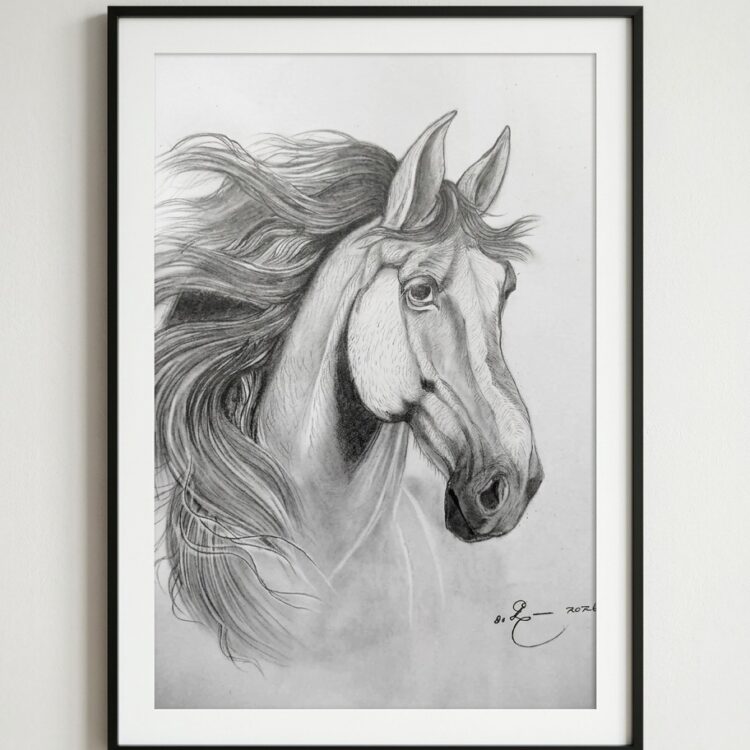 Pencil Art - The Horse