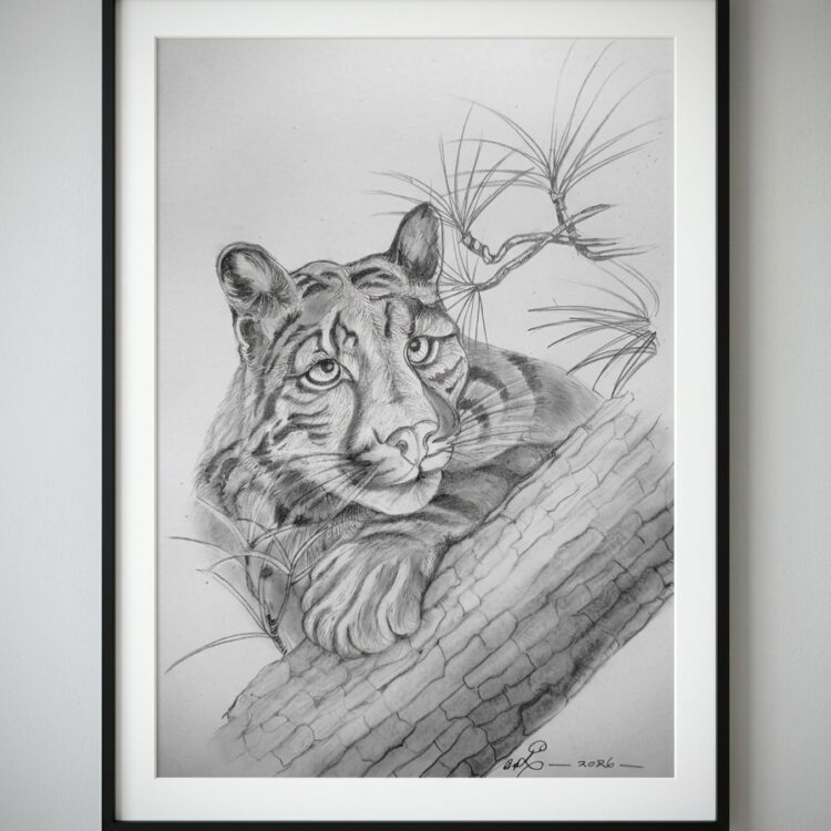 Pencil Art - The Aim